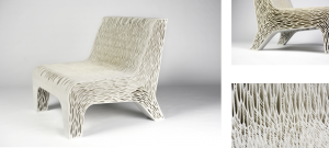 Design & Impression 3D - Biomimicry