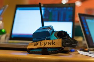Lynx merial makers santé animale