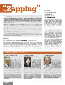 Votre Article Dans Bref N°2196-14