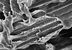 Fibre - Carbone - composite - impression 3D